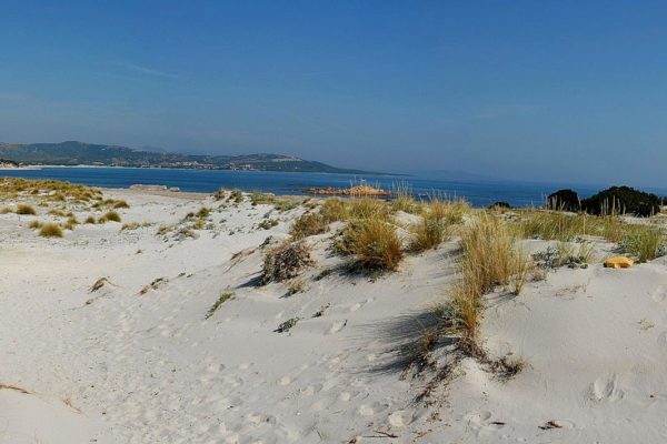 Le stelle di Capo Gelsomino